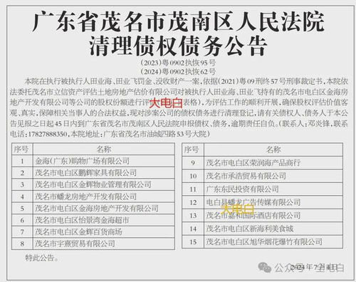 电白涉黑大佬田业海 田业飞持有的多家公司股份,将被法院依法处置